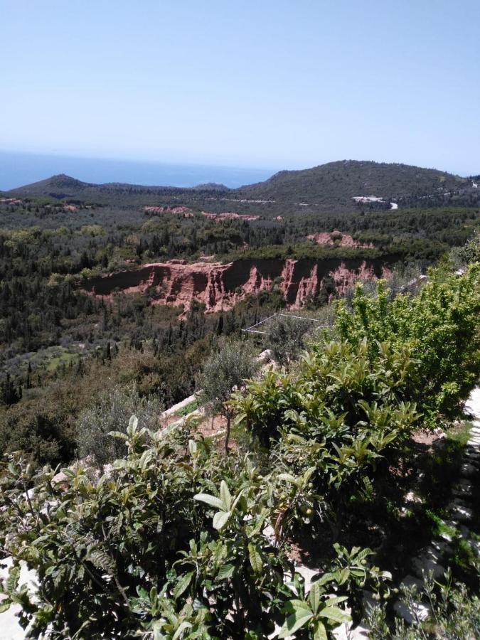 Vila Aleks Vuno Buitenkant foto