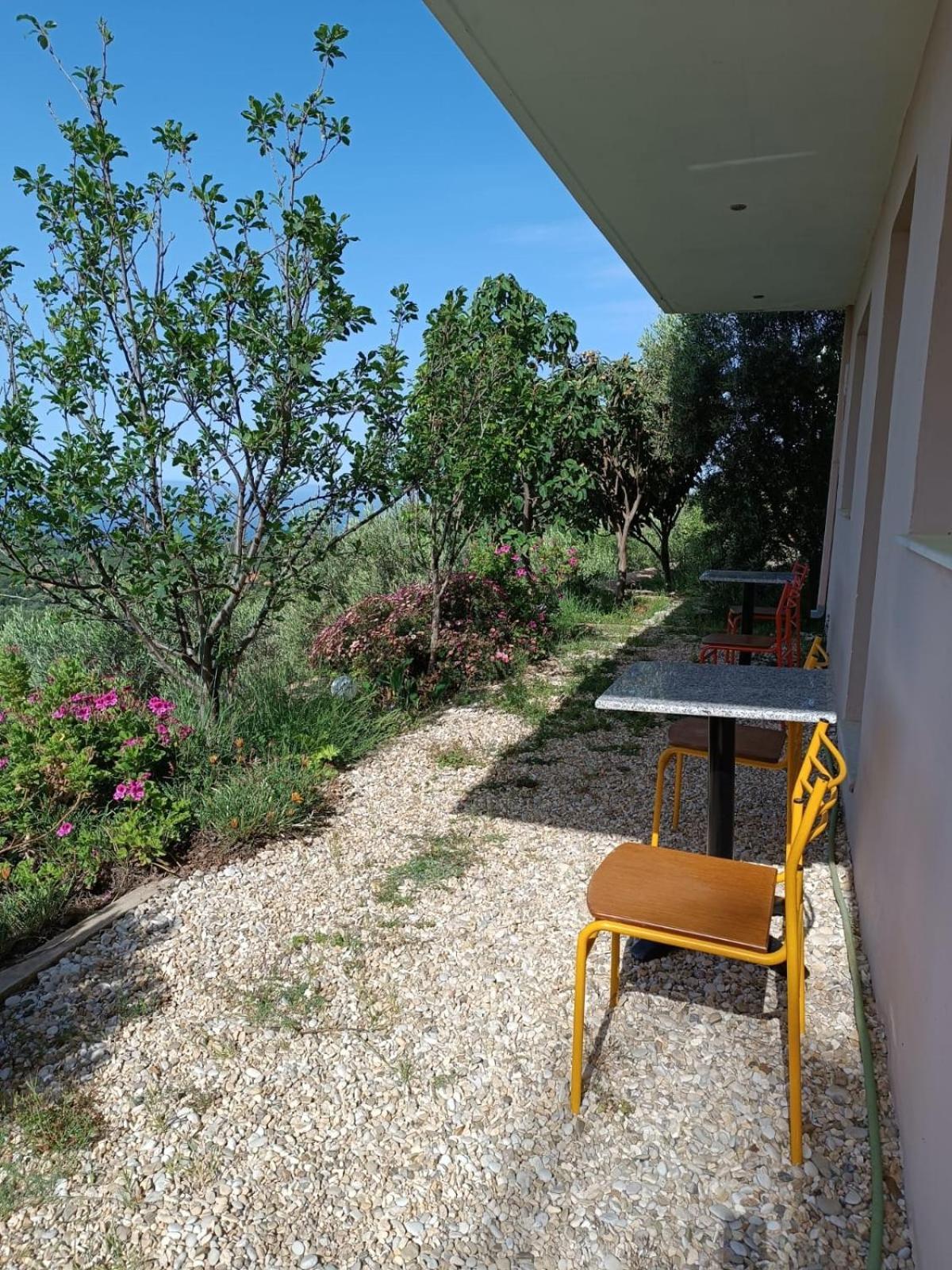 Vila Aleks Vuno Buitenkant foto