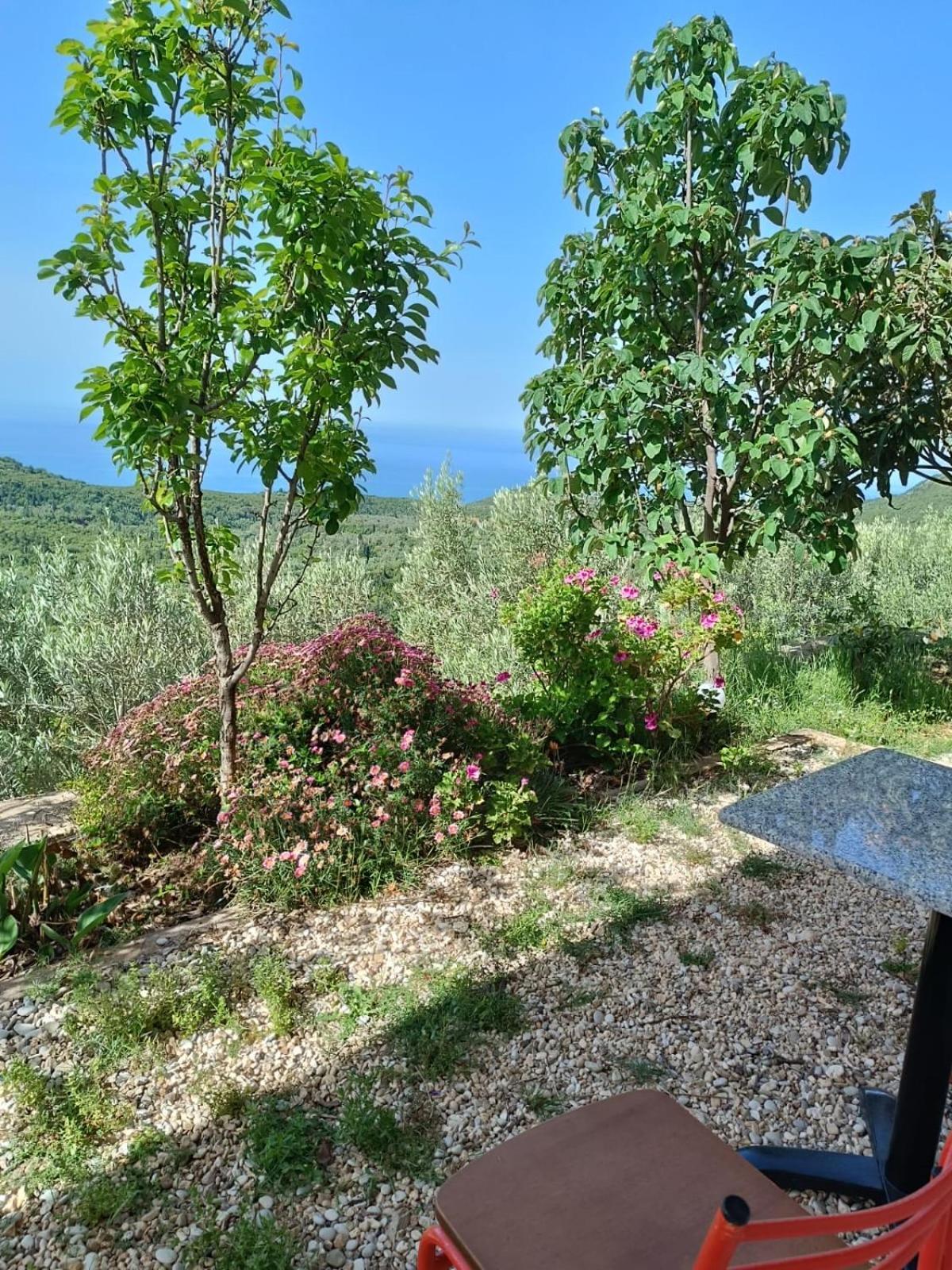 Vila Aleks Vuno Buitenkant foto